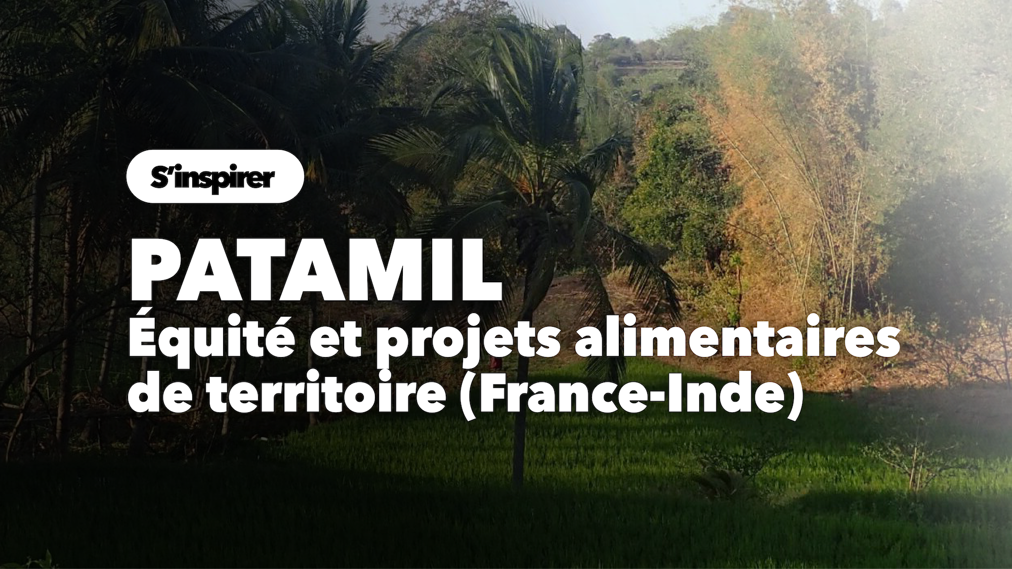 PATAMIL :  Equité et projets alimentaires de territoire