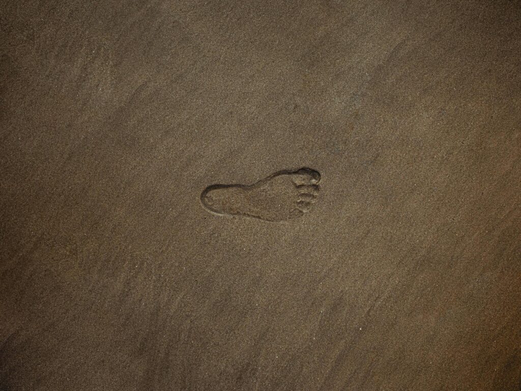 Symbiocène et solidarité internationale